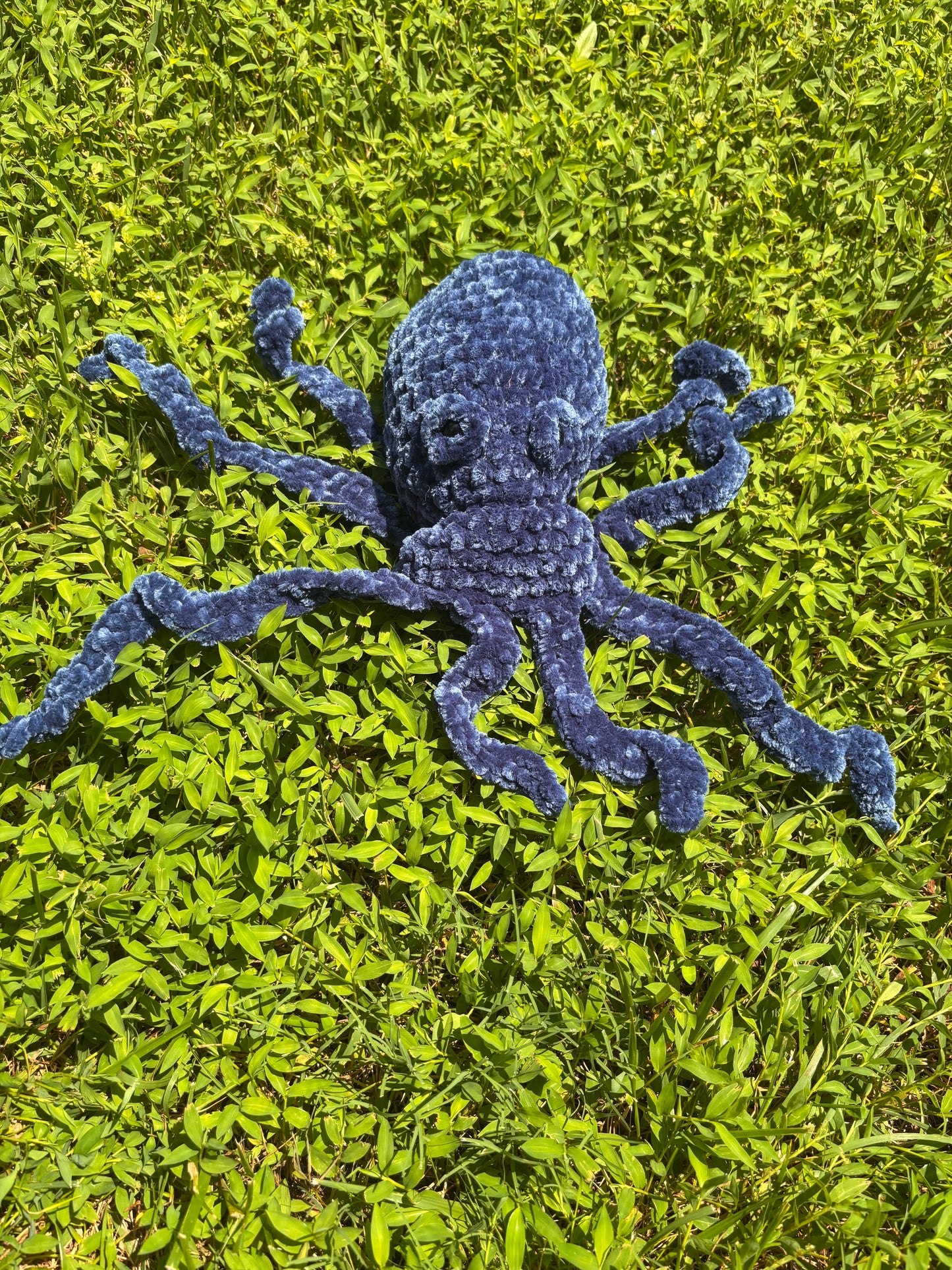 Octopus