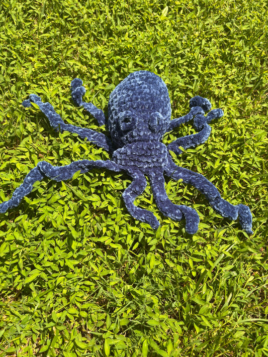 Octopus