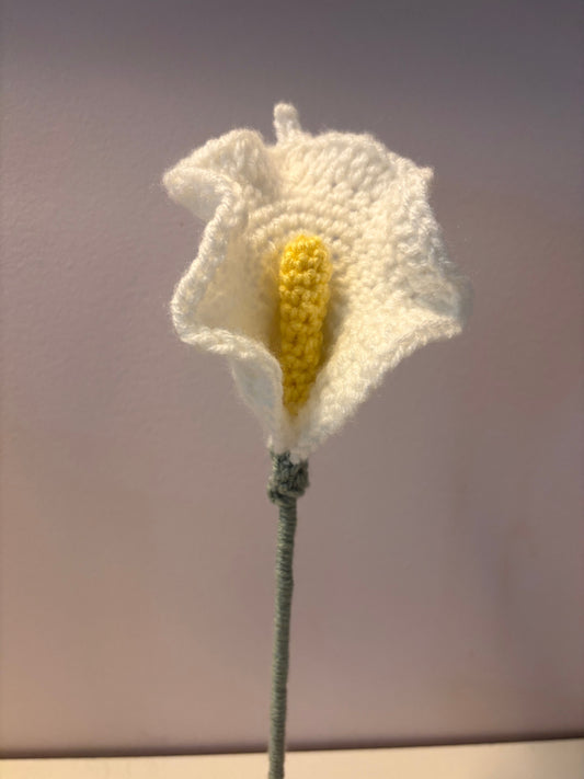 Calla Lily